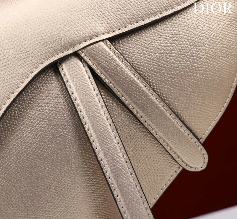 HighPerformance Christian Dior Saddle bags 47226