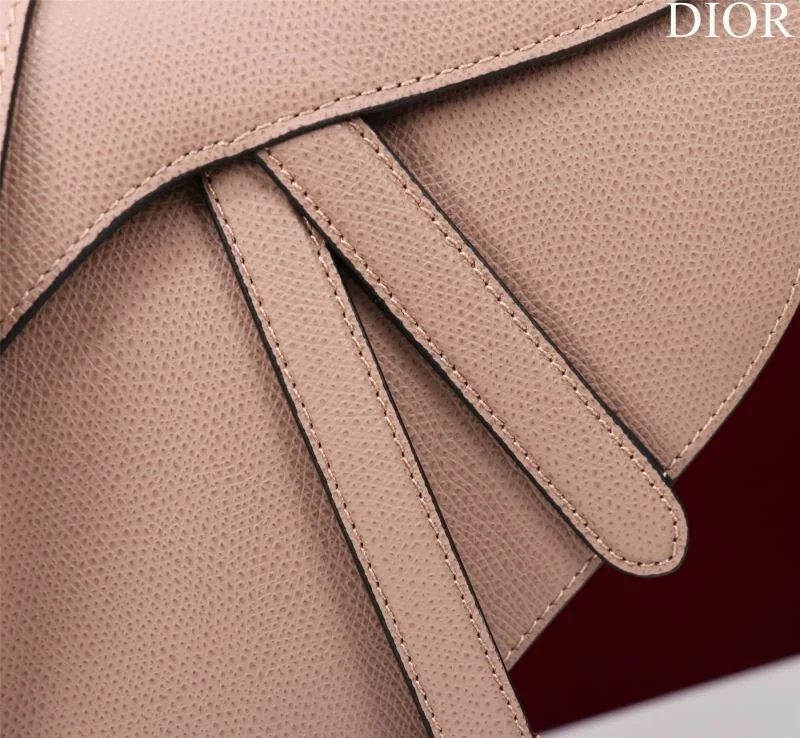 Stylish Christian Dior Saddle bags 47212