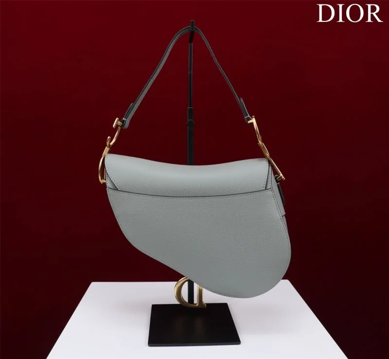 Christian Dior Saddle bags Premium 47216