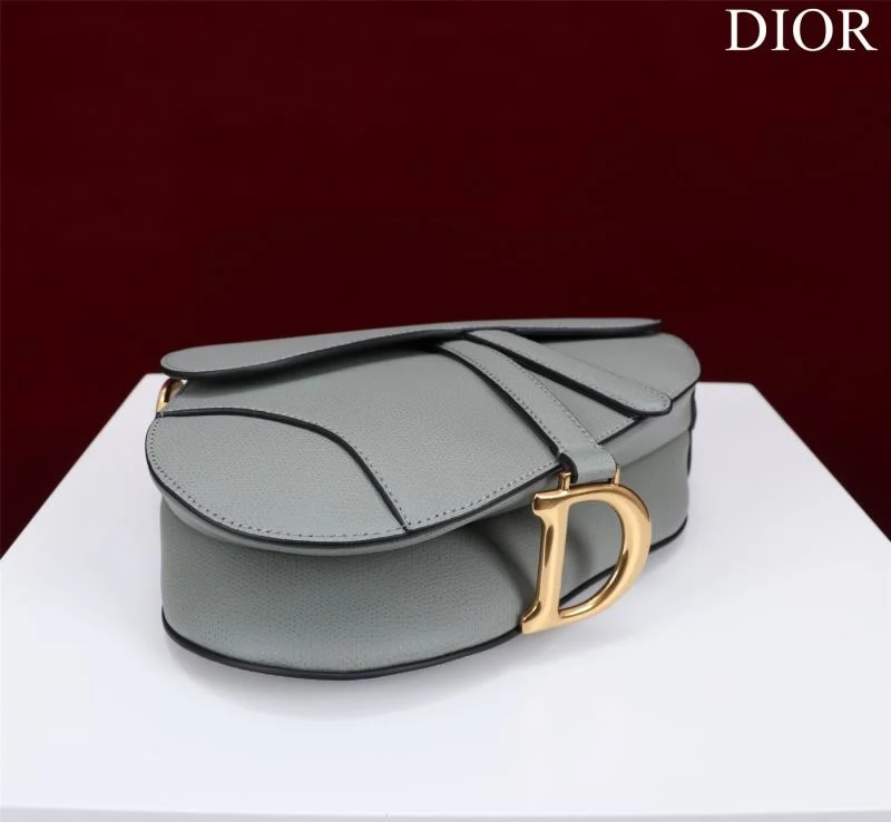Christian Dior Saddle bags Premium 47216