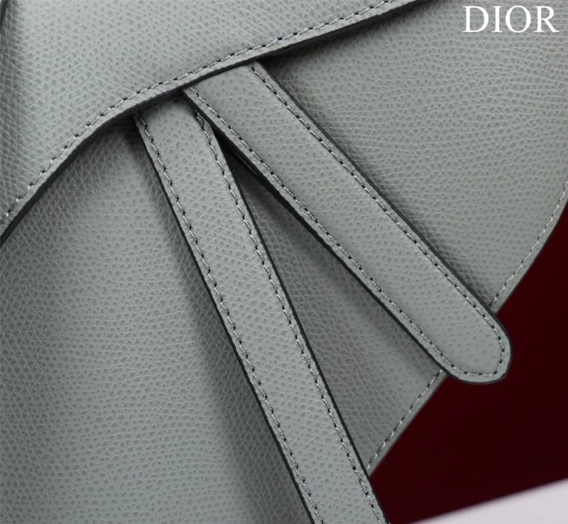 Christian Dior Saddle bags Premium 47216