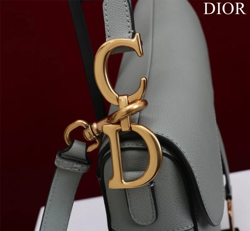 Christian Dior Saddle bags Premium 47216