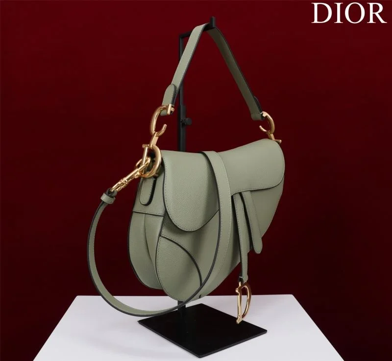 Christian Dior Saddle bags Modern 47206