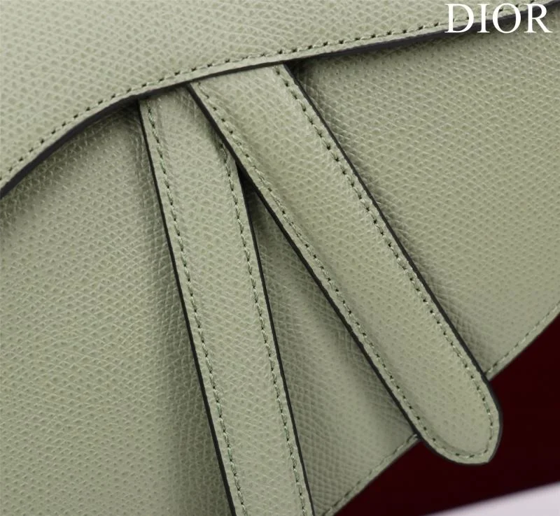 Christian Dior Saddle bags Modern 47206