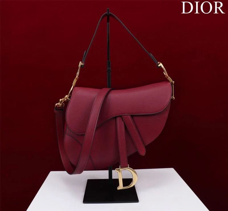 Sustainable Christian Dior Saddle bags 47208