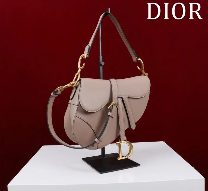 Christian Dior Saddle bags WeatherProof 47204