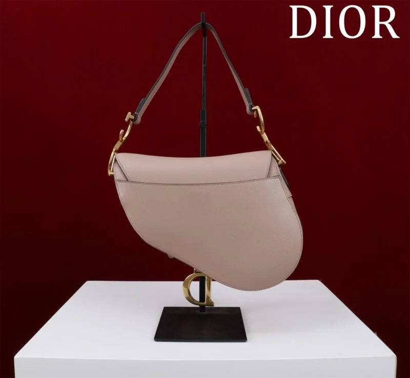 Christian Dior Saddle bags WeatherProof 47204