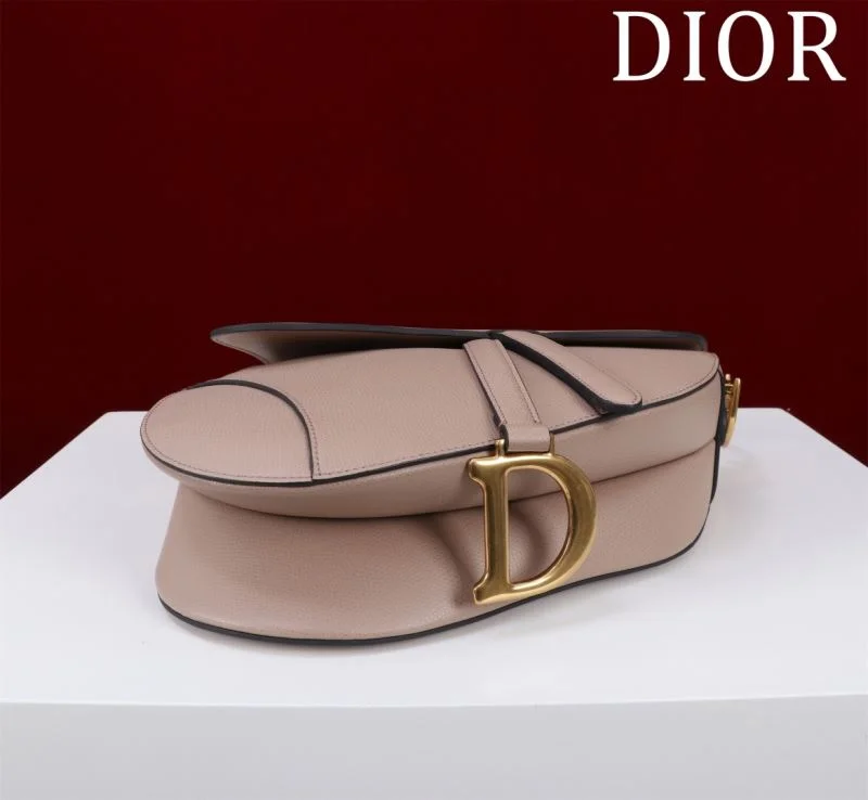 Christian Dior Saddle bags WeatherProof 47204