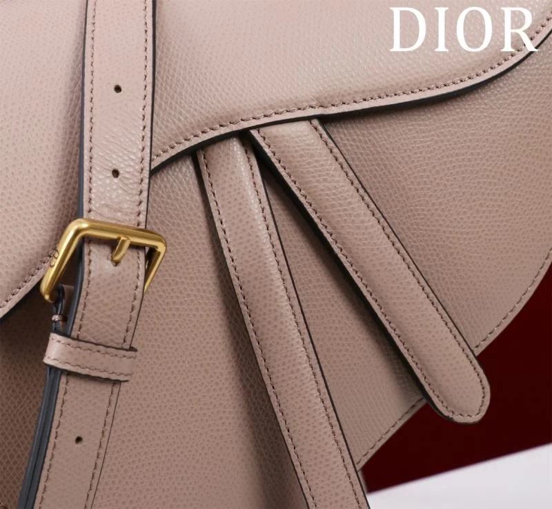 Christian Dior Saddle bags WeatherProof 47204