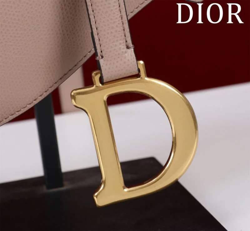 Christian Dior Saddle bags WeatherProof 47204