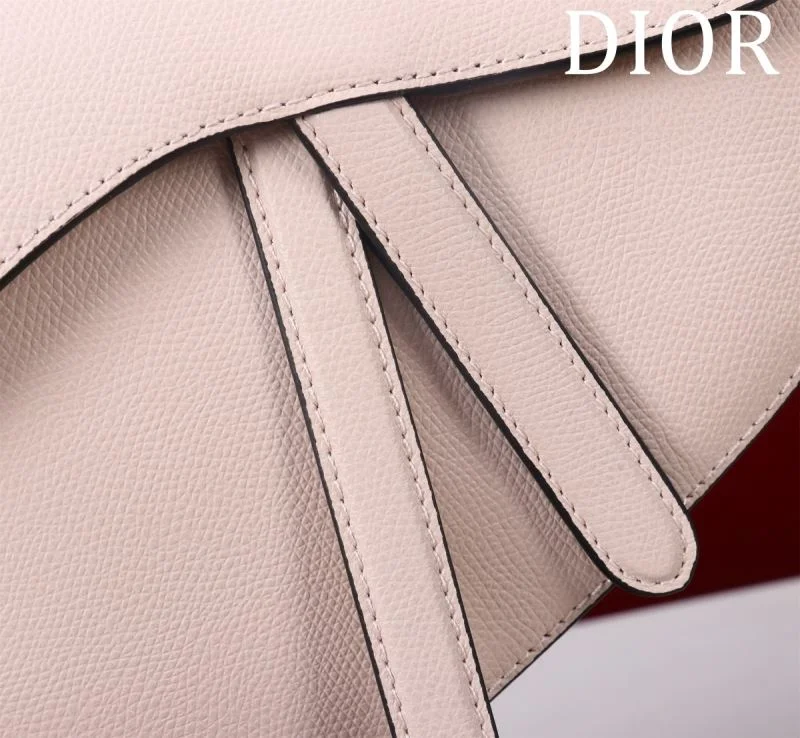 Christian Dior Saddle bags Practical 47207