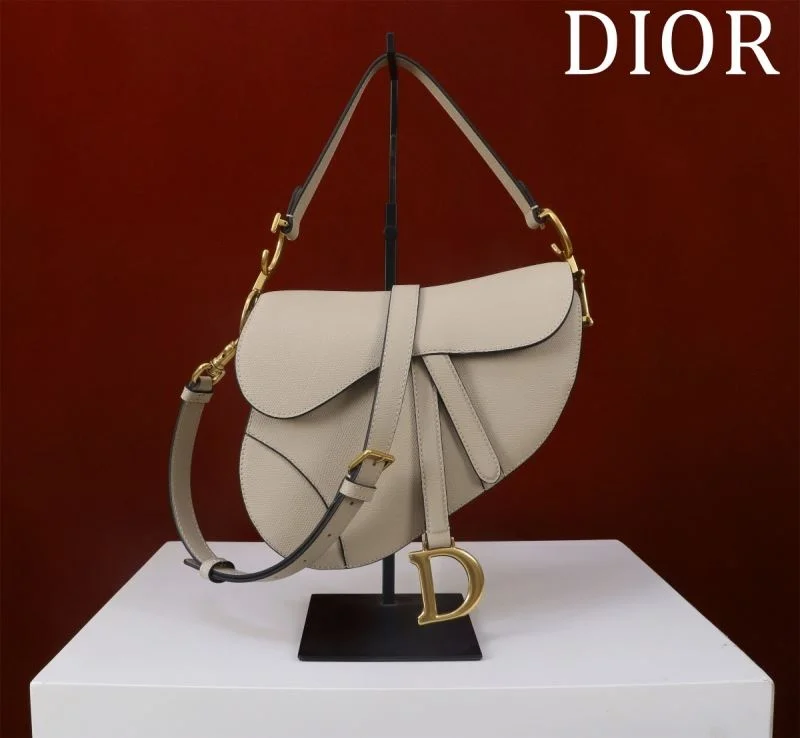 Christian Dior Saddle bags QuickDry 47203