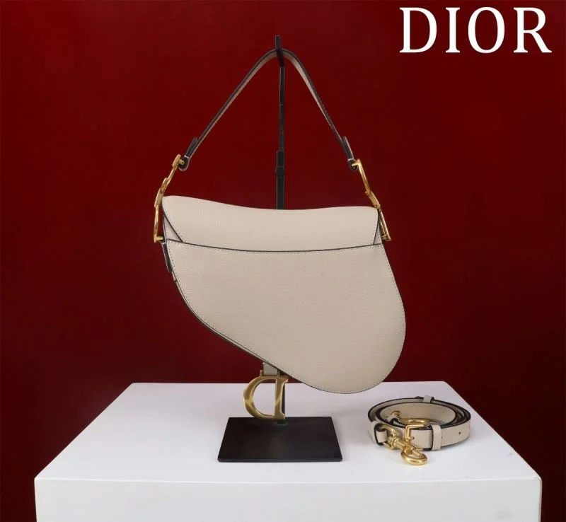 Christian Dior Saddle bags QuickDry 47203