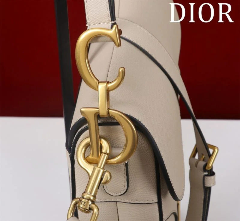 Christian Dior Saddle bags QuickDry 47203