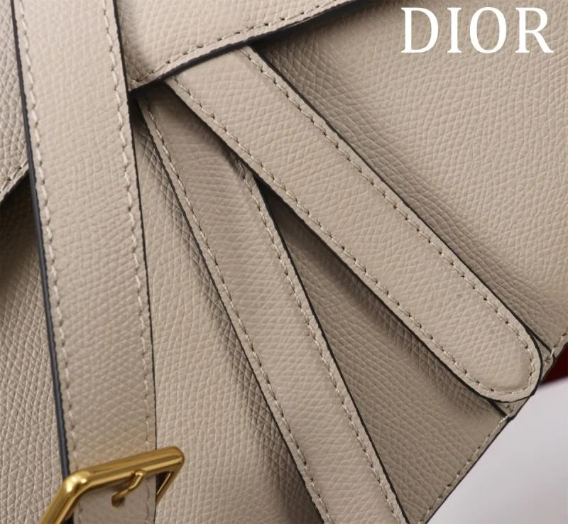Christian Dior Saddle bags QuickDry 47203