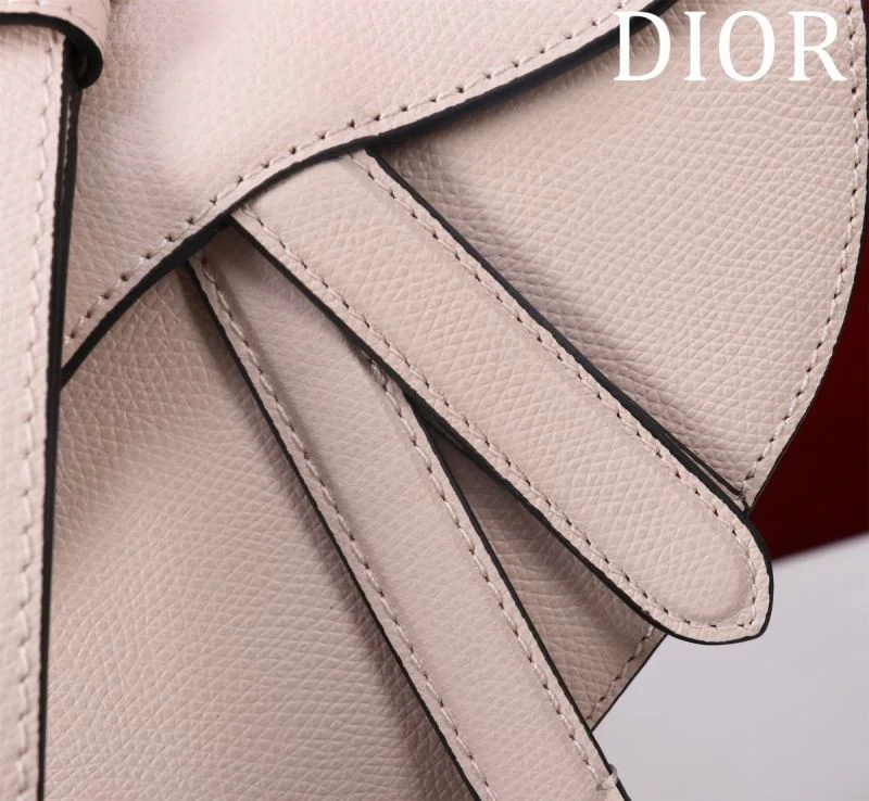 Christian Dior Saddle bags Classic 47205