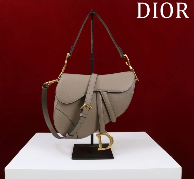 Christian Dior Saddle bags Vibrant 47196
