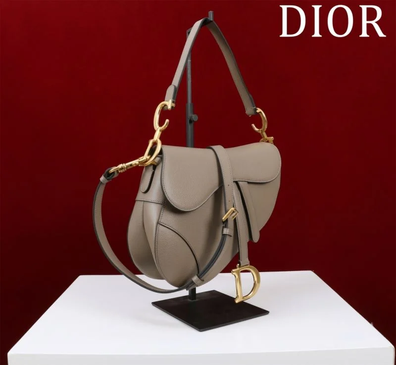 Christian Dior Saddle bags Vibrant 47196