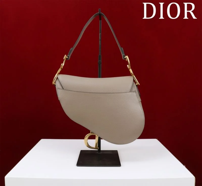 Christian Dior Saddle bags Vibrant 47196