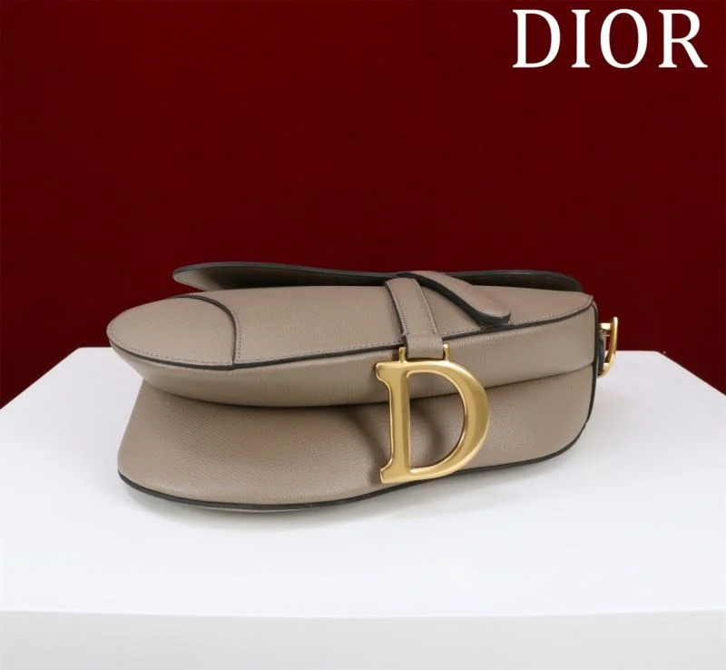 Christian Dior Saddle bags Vibrant 47196