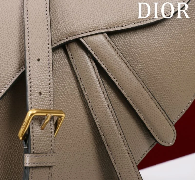 Christian Dior Saddle bags Vibrant 47196