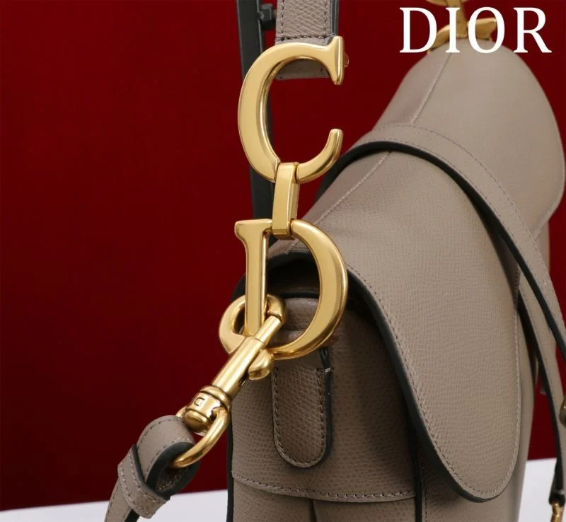 Christian Dior Saddle bags Vibrant 47196