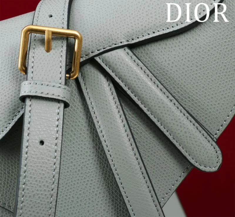Christian Dior Saddle bags Original 47200