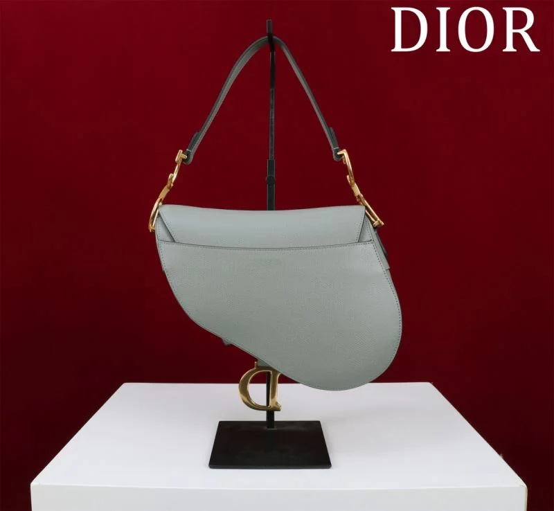 QuickDry Christian Dior Saddle bags 47197