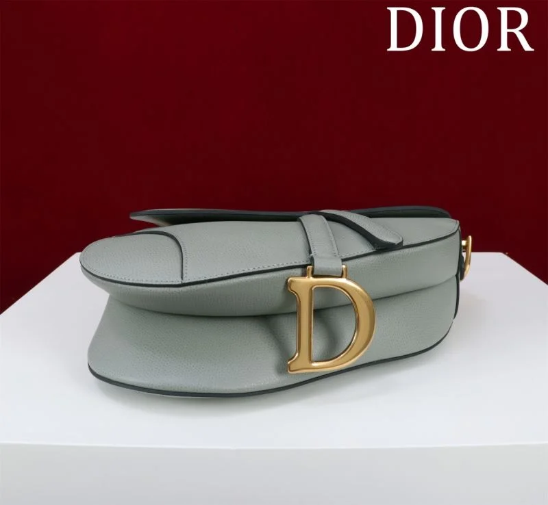 QuickDry Christian Dior Saddle bags 47197