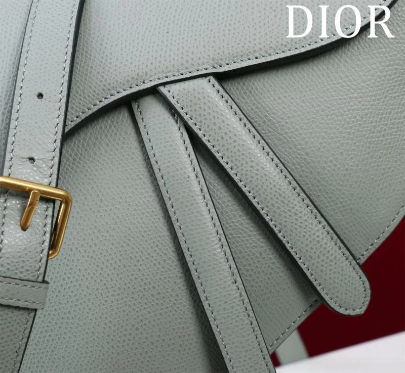 QuickDry Christian Dior Saddle bags 47197