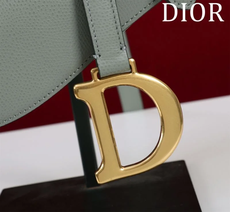 QuickDry Christian Dior Saddle bags 47197
