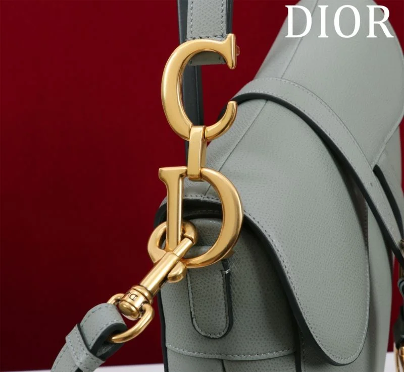QuickDry Christian Dior Saddle bags 47197