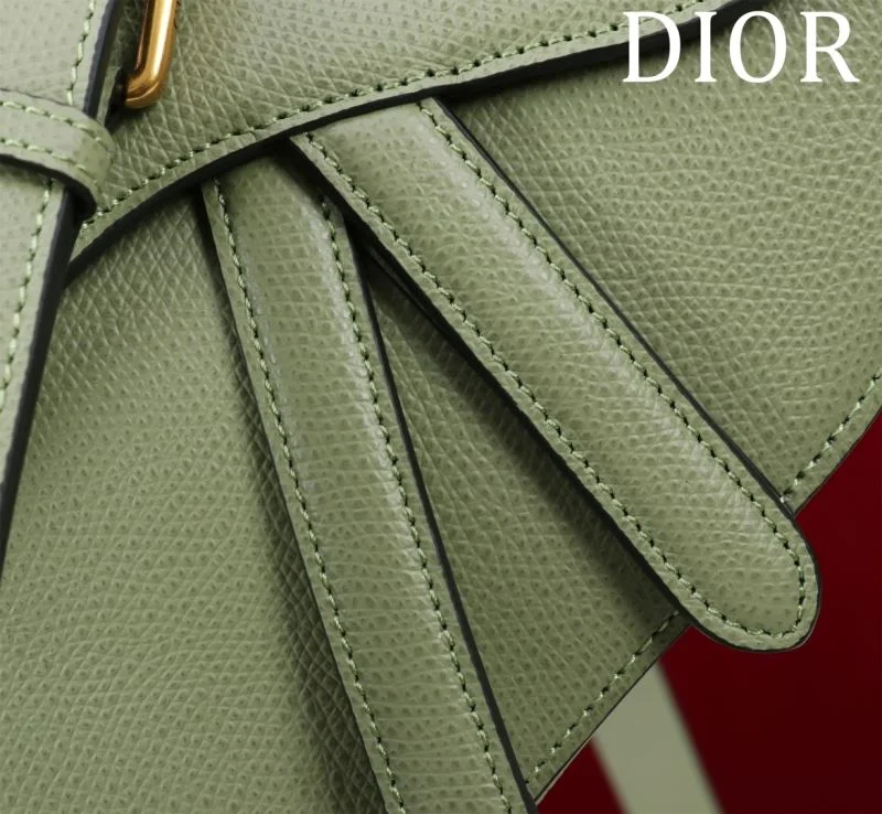Flexible Christian Dior Saddle bags 47199
