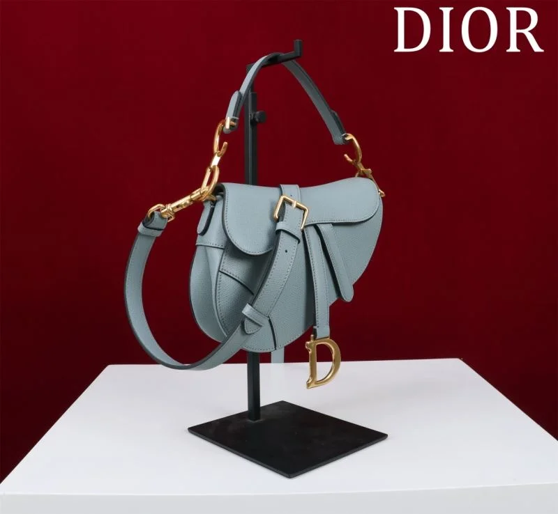 Christian Dior Saddle bags TopPick 47195