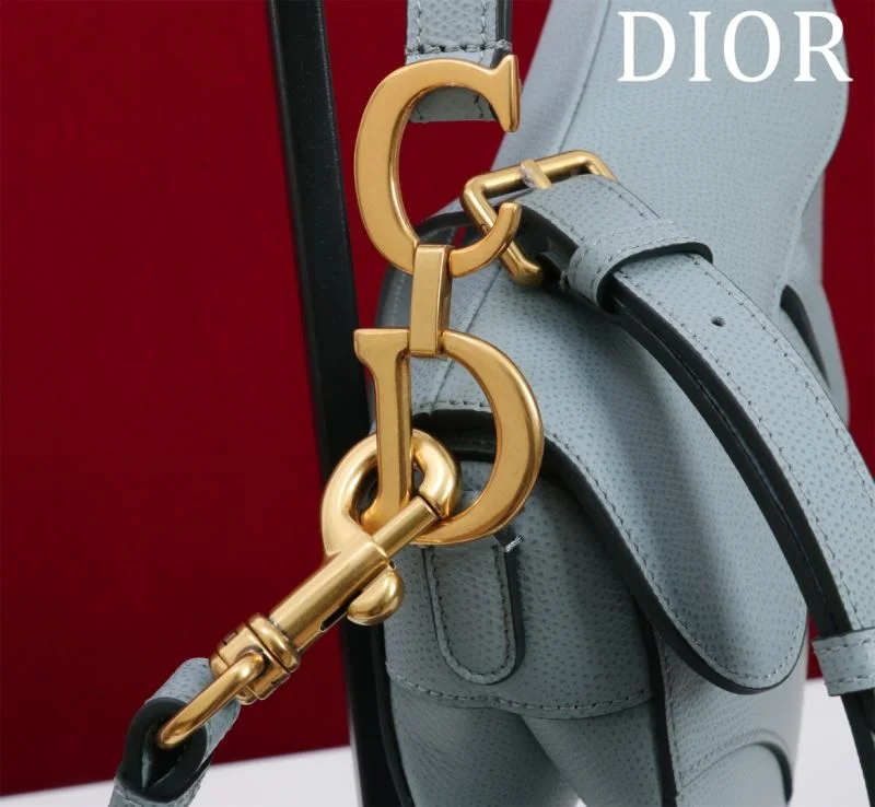 Christian Dior Saddle bags TopPick 47195