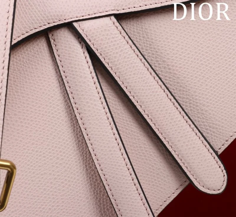Christian Dior Saddle bags Trendy 47185