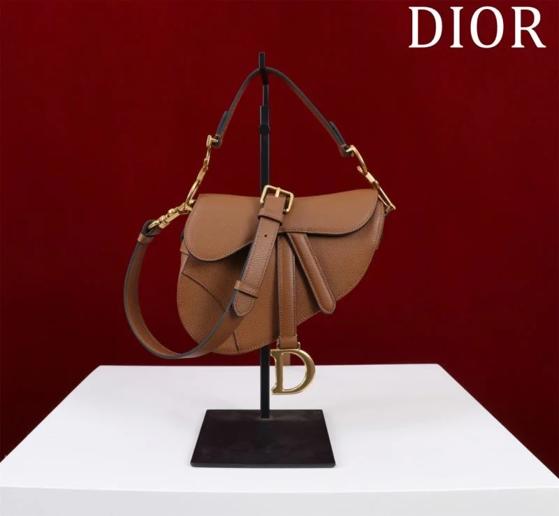 Christian Dior Saddle bags Modern 47184