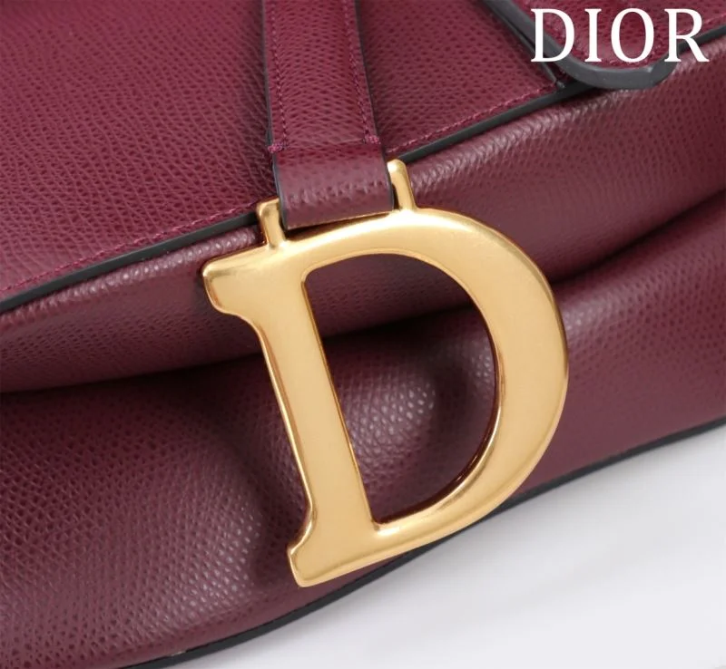 Resilient Christian Dior Saddle bags 47186