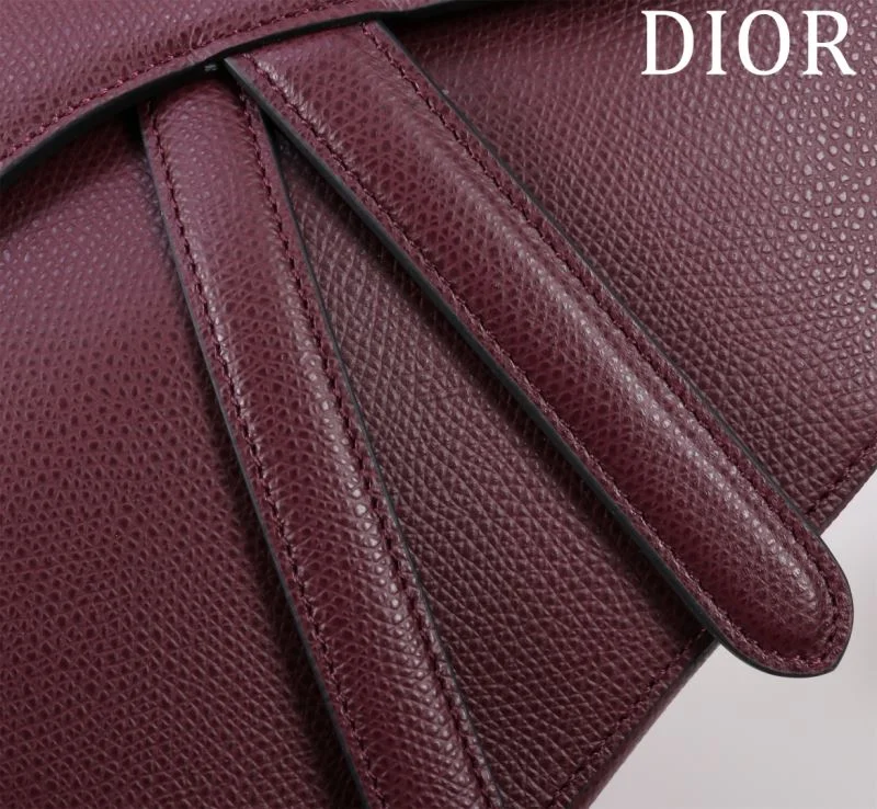 Resilient Christian Dior Saddle bags 47186
