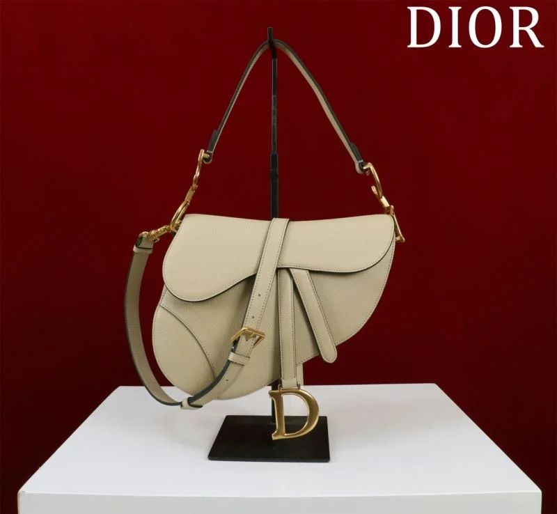 Christian Dior Saddle bags Seasonal 47176