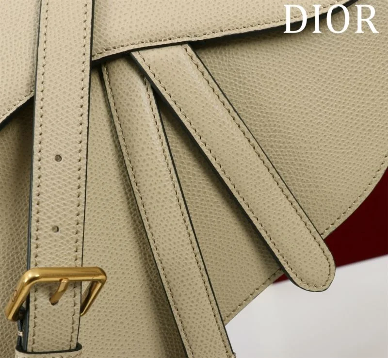 Christian Dior Saddle bags Seasonal 47176