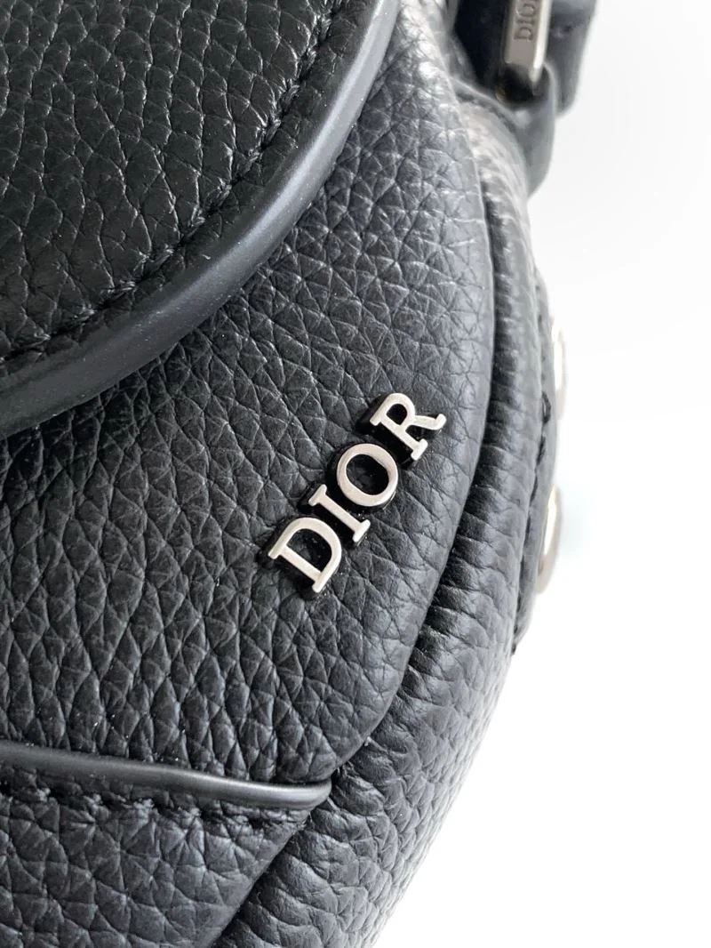 Christian Dior Saddle bags TechFriendly 47174
