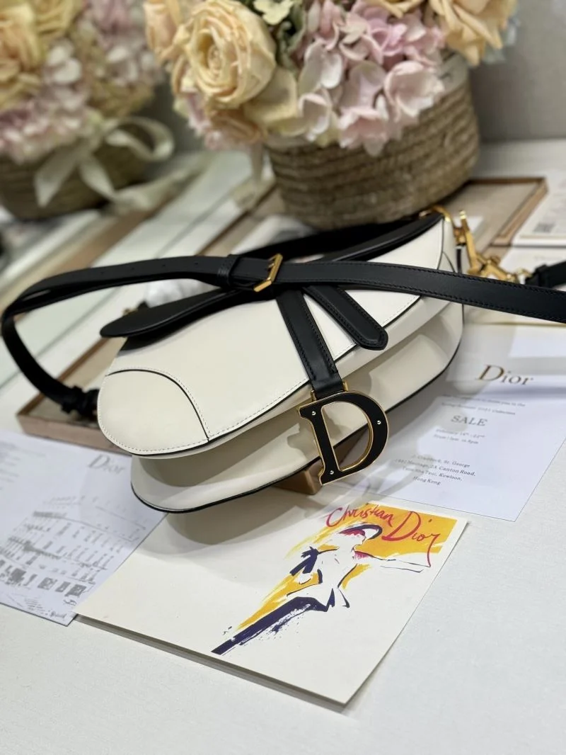 Christian Dior Saddle bags Lightweight 47202