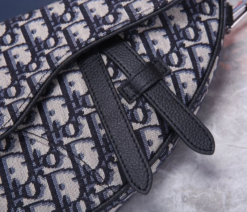 Christian Dior Saddle bags Sophisticated 47162