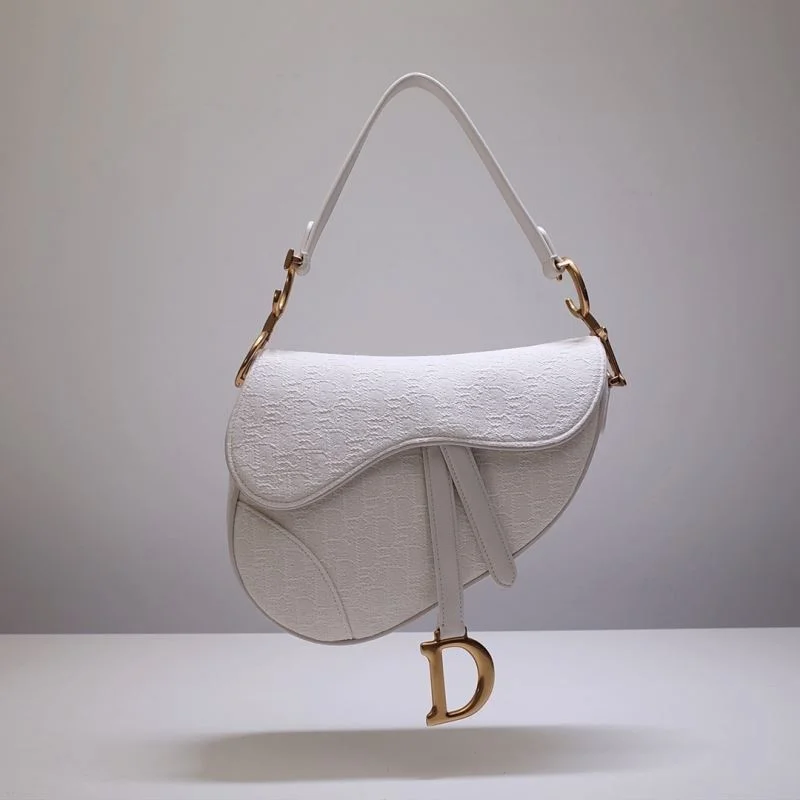 Christian Dior Saddle bags OdorResistant 47161