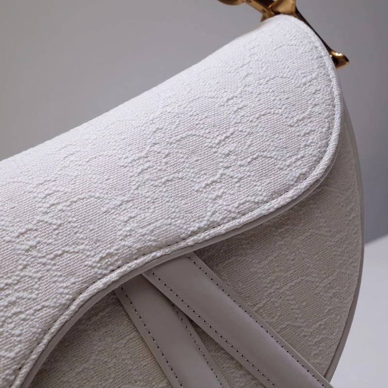 Christian Dior Saddle bags OdorResistant 47161