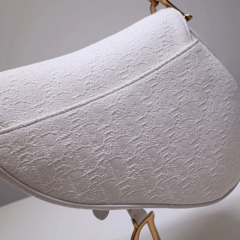 Christian Dior Saddle bags OdorResistant 47161