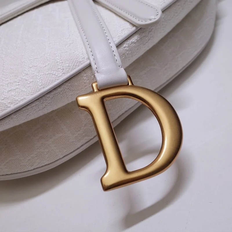 Christian Dior Saddle bags OdorResistant 47161