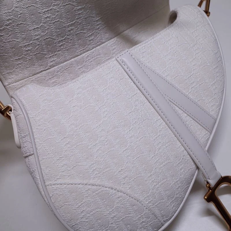 Christian Dior Saddle bags OdorResistant 47161