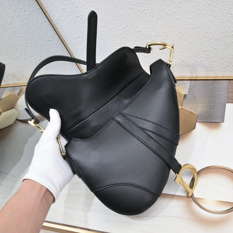 GoAnywhere Christian Dior Saddle bags 85711